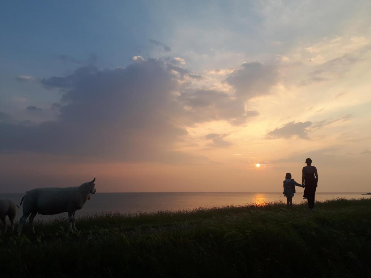 Slapen Aan Het Ijsselmeer - With Seaview And Sunset Stavoren Exterior foto