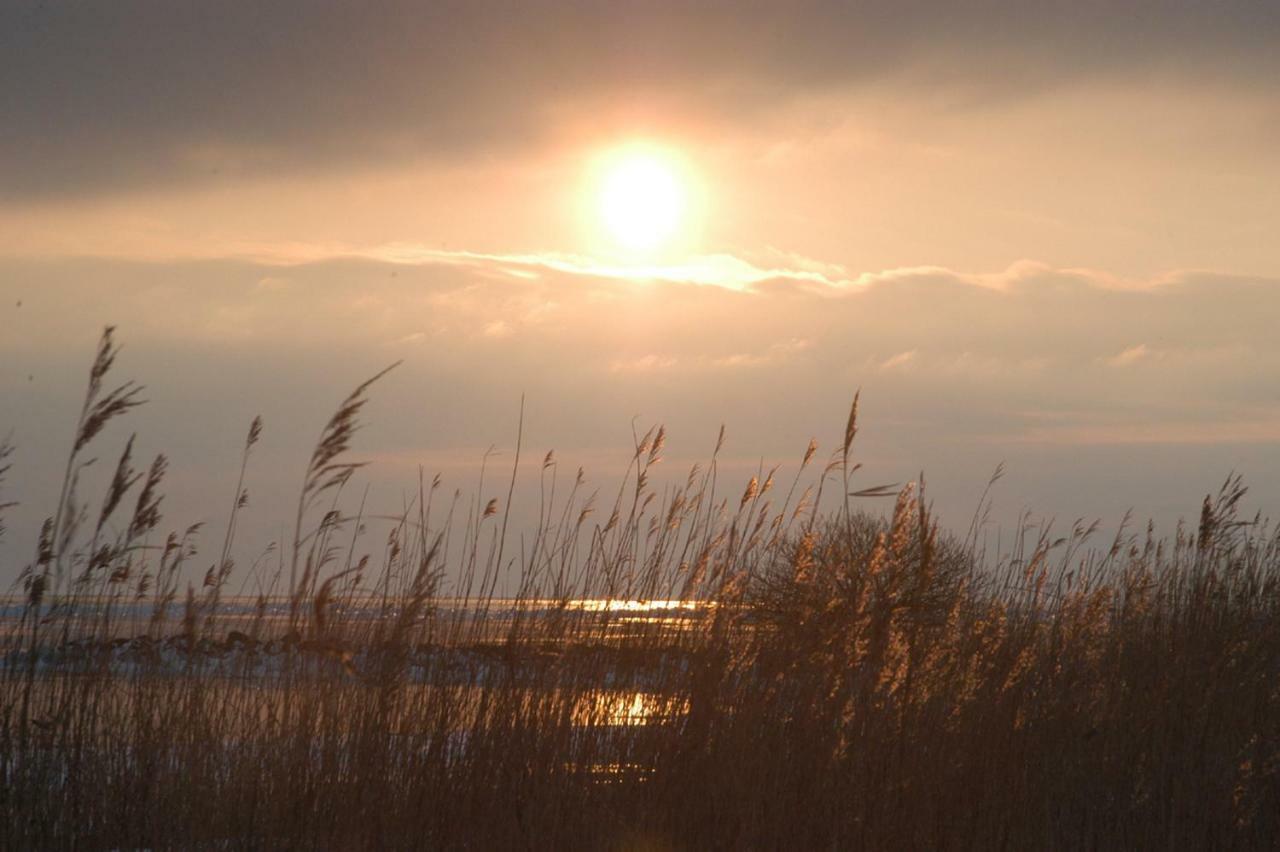 Slapen Aan Het Ijsselmeer - With Seaview And Sunset Stavoren Exterior foto
