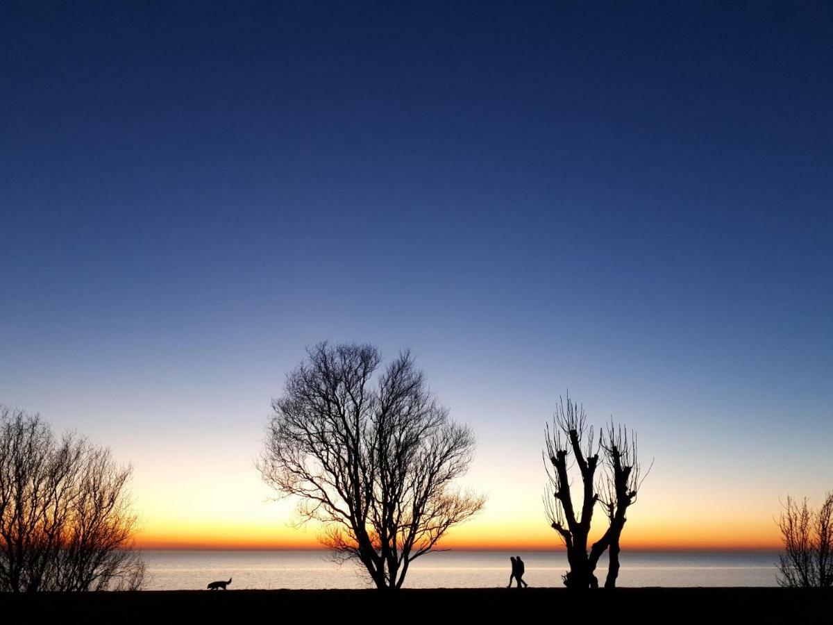 Slapen Aan Het Ijsselmeer - With Seaview And Sunset Stavoren Exterior foto